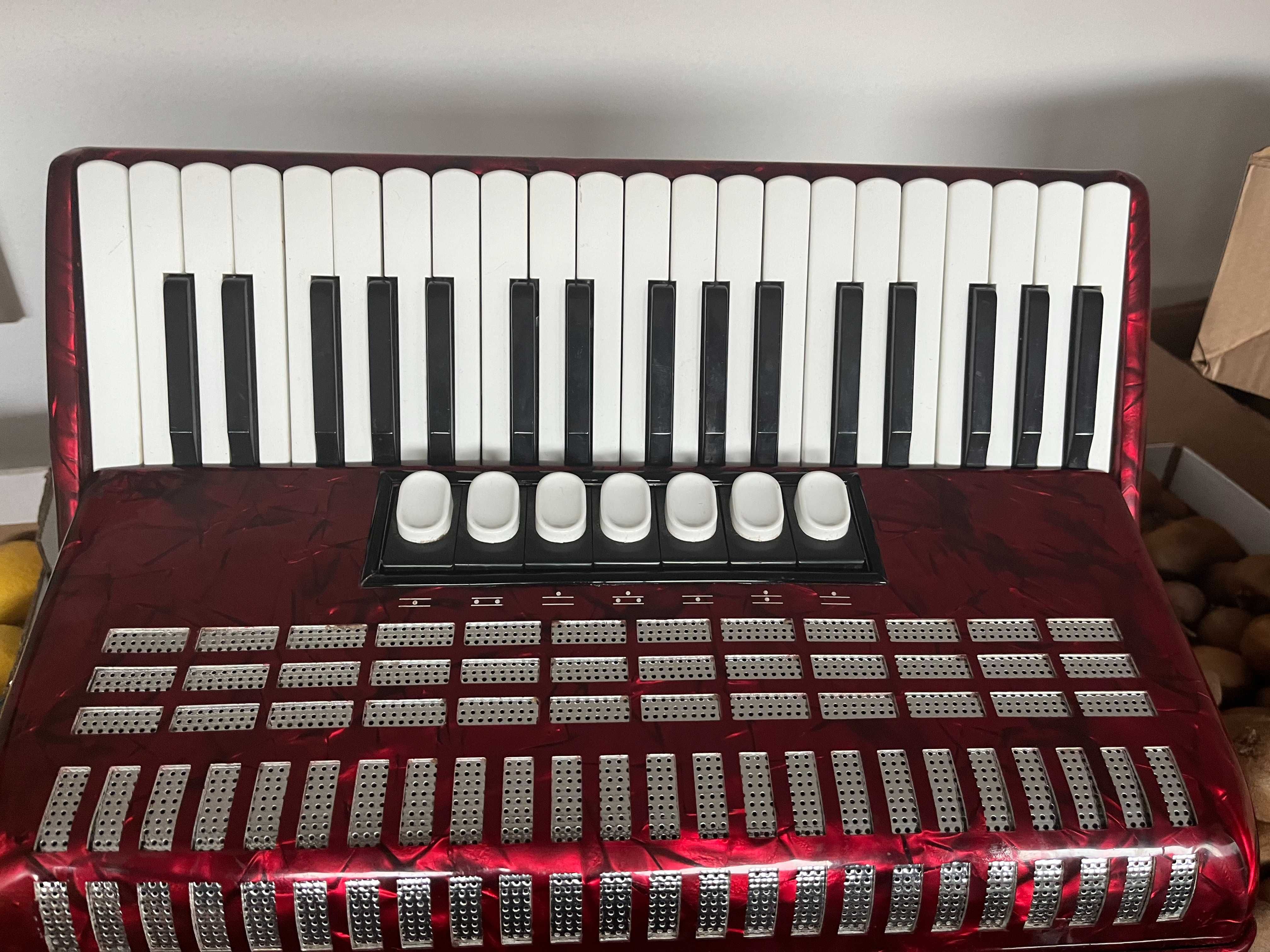 Acordeão Hohner Student 80