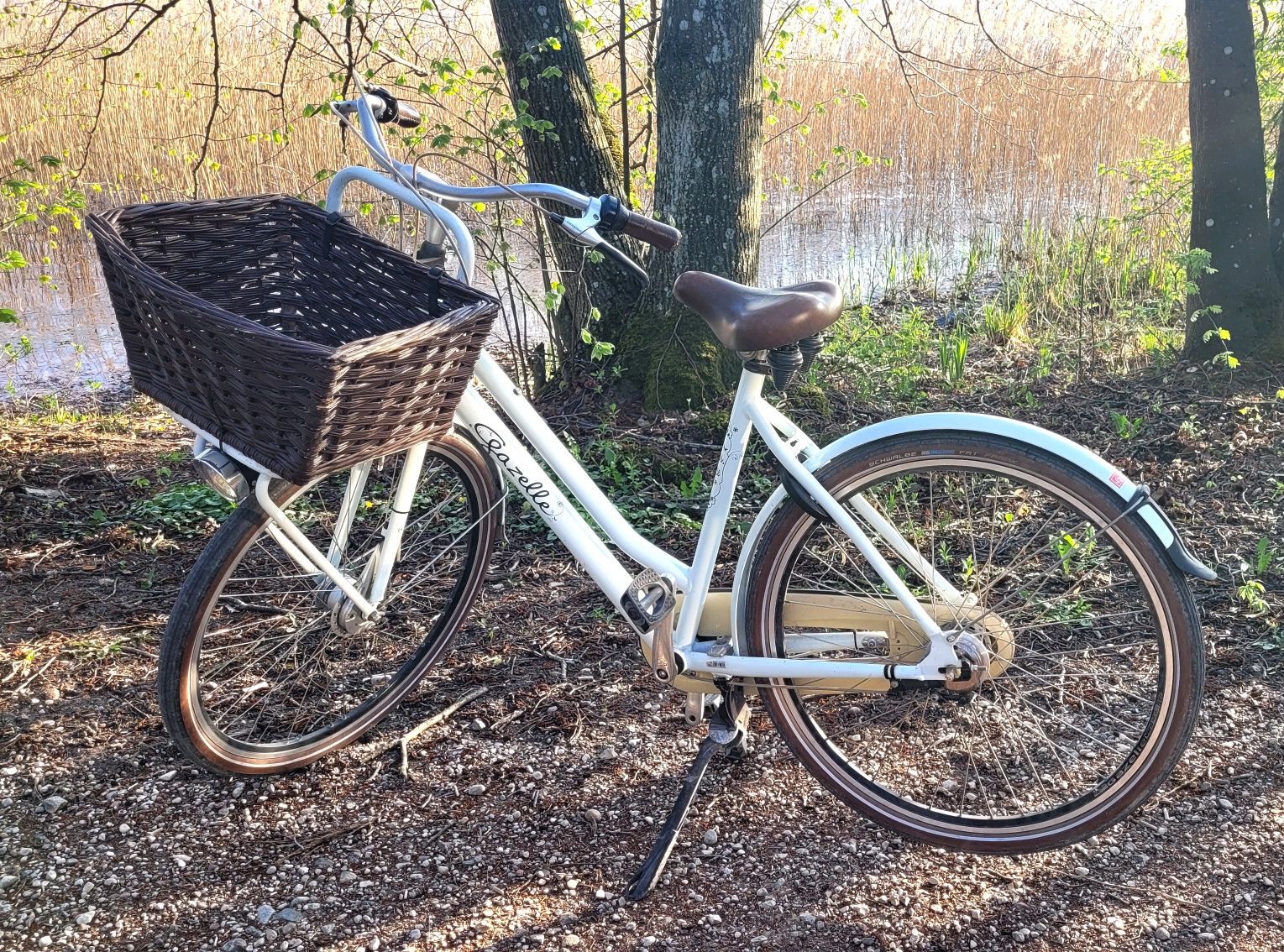Rower damski Gazelle Miss Grace