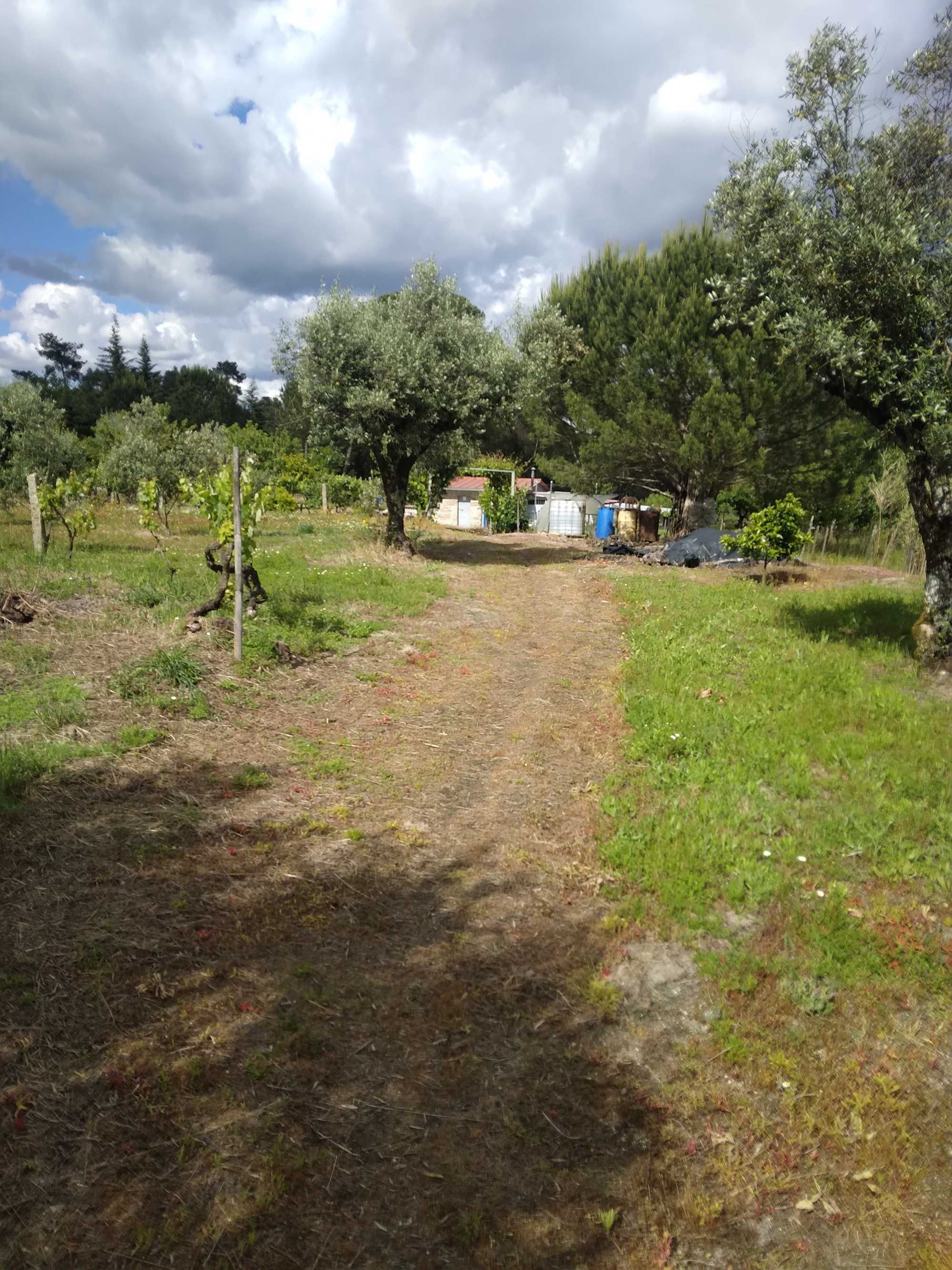 Quintinha com casa de arrumos