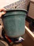 Vaso verde para plantas 40cm por 30 cm