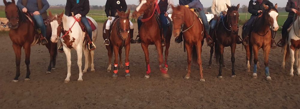 klacz małopolska srokata wpisana do księgi