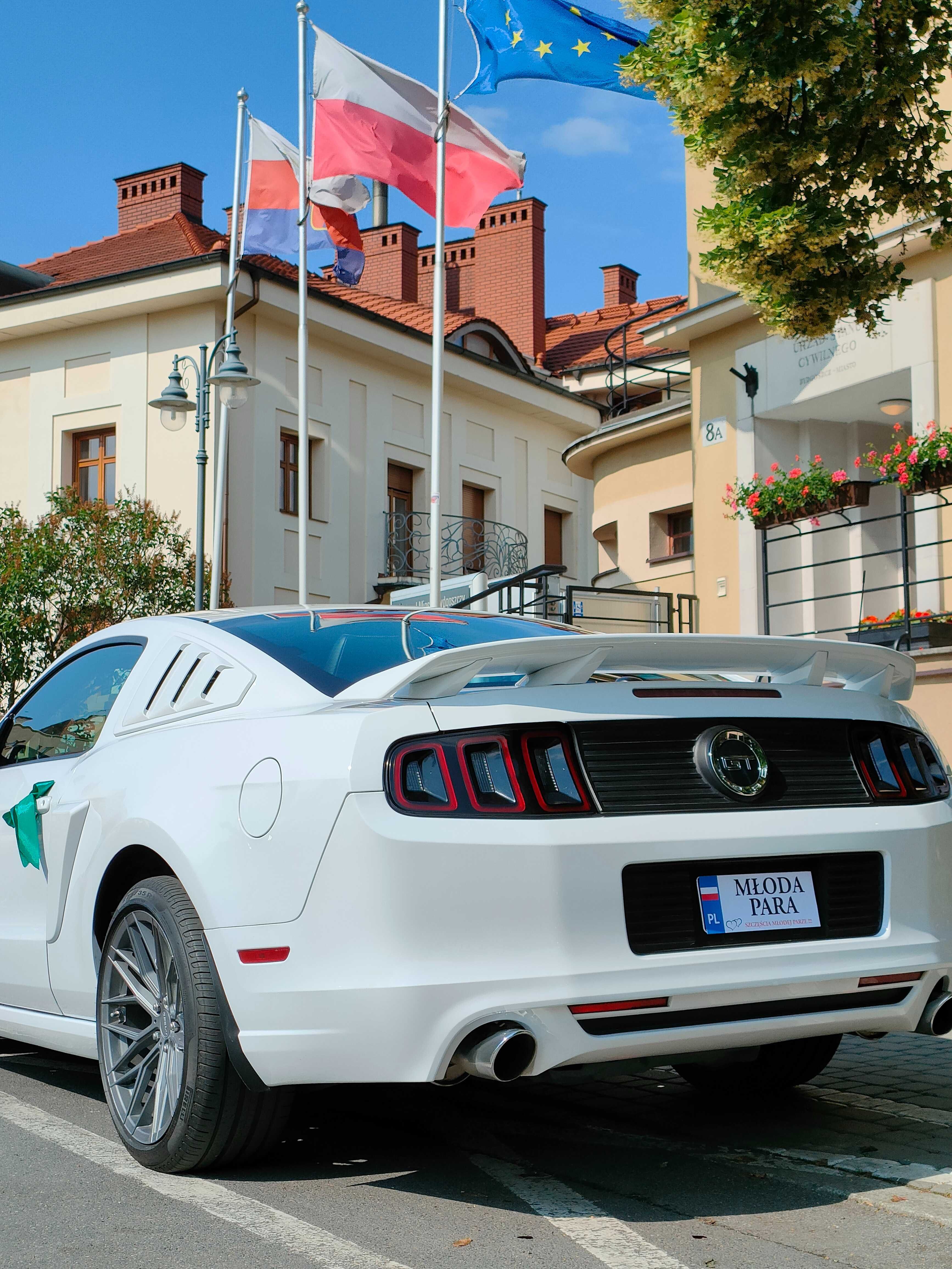 Mustang GT 5.0 do ślubu, biały | Terminy 2025