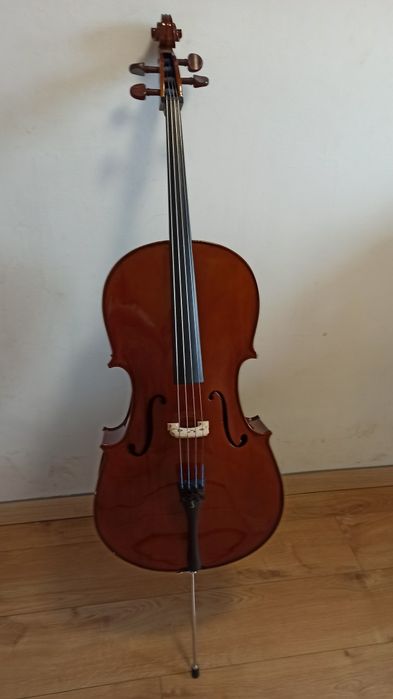 Wilonczela Stentor Student l 1/2