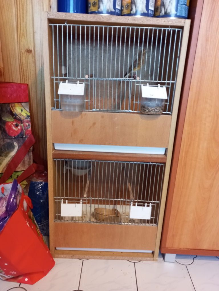 Klatka dla kanarka papugi kanarek ptaki