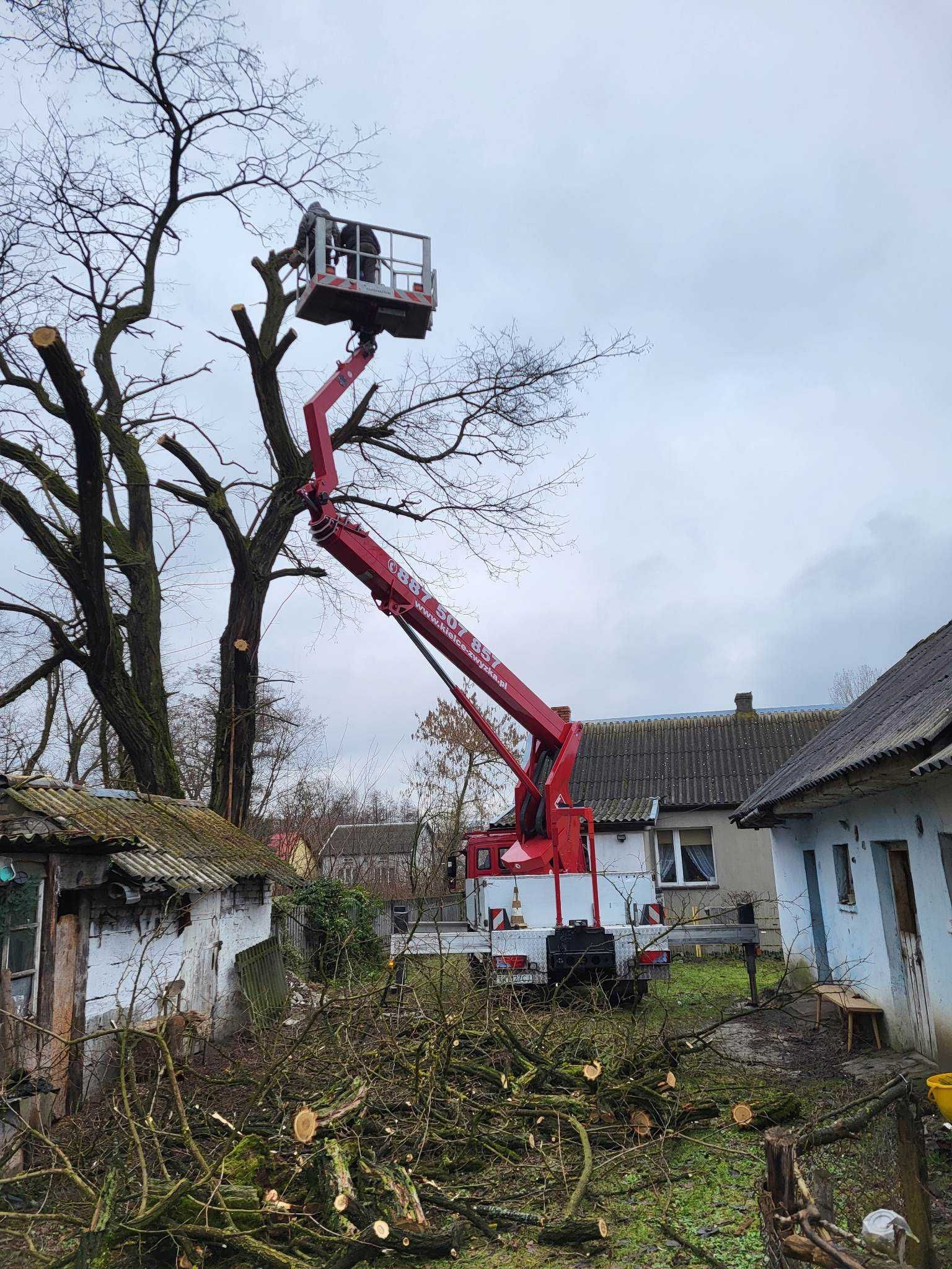Podnośnik Koszowy Zwyżka Wycinka Drzew Gałęzi Montaż Reklam Wysięgnik