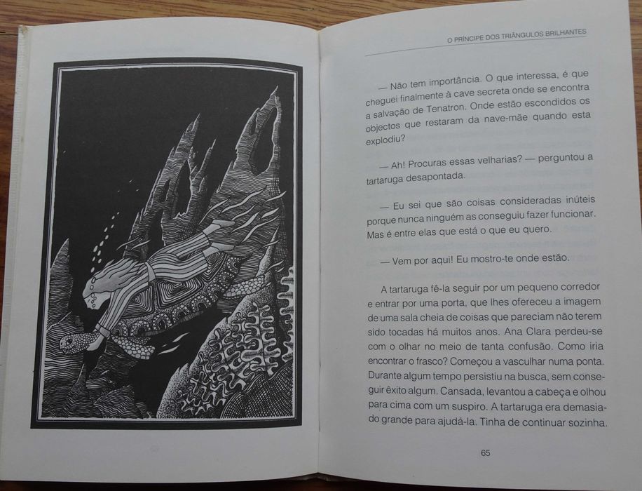 O Príncipe dos Triângulos Brilhantes