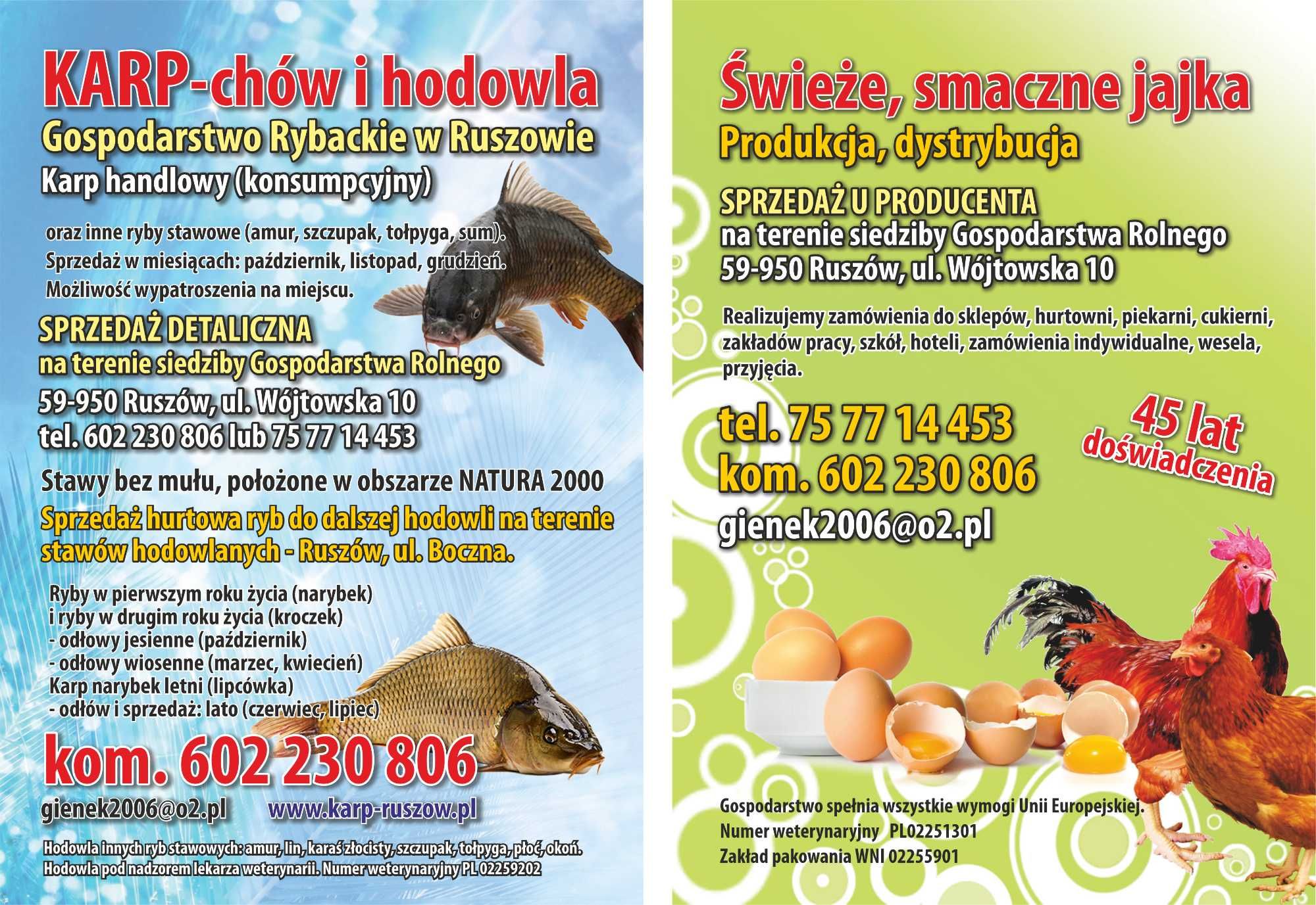 jajka - Gospodarstwo Rolne w Ruszowie