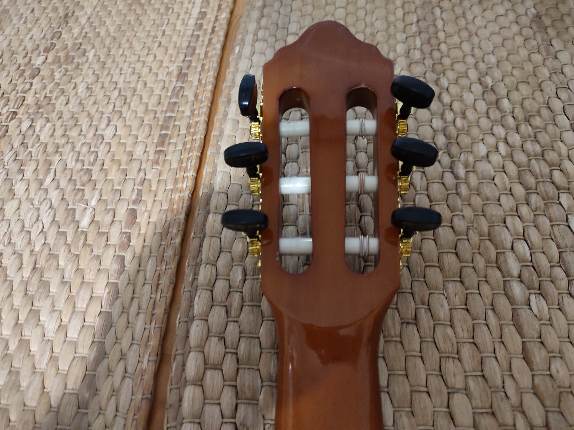 Gitara Valencia Established