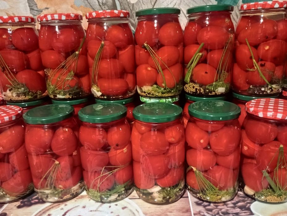 4x Ogórki Kiszone, 2025, link do użycia