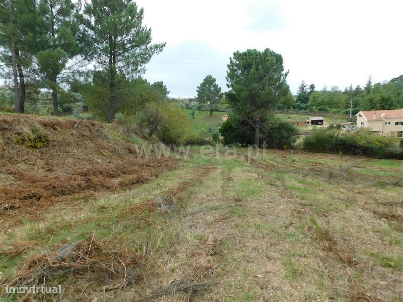Terreno / Gouveia, São Paio