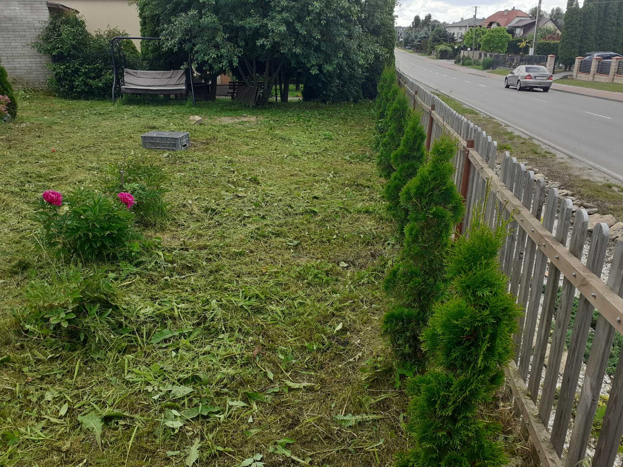 Koszenie trawy kosą spalinową, wycinka drzew Ostrowiec Świętokrzyski