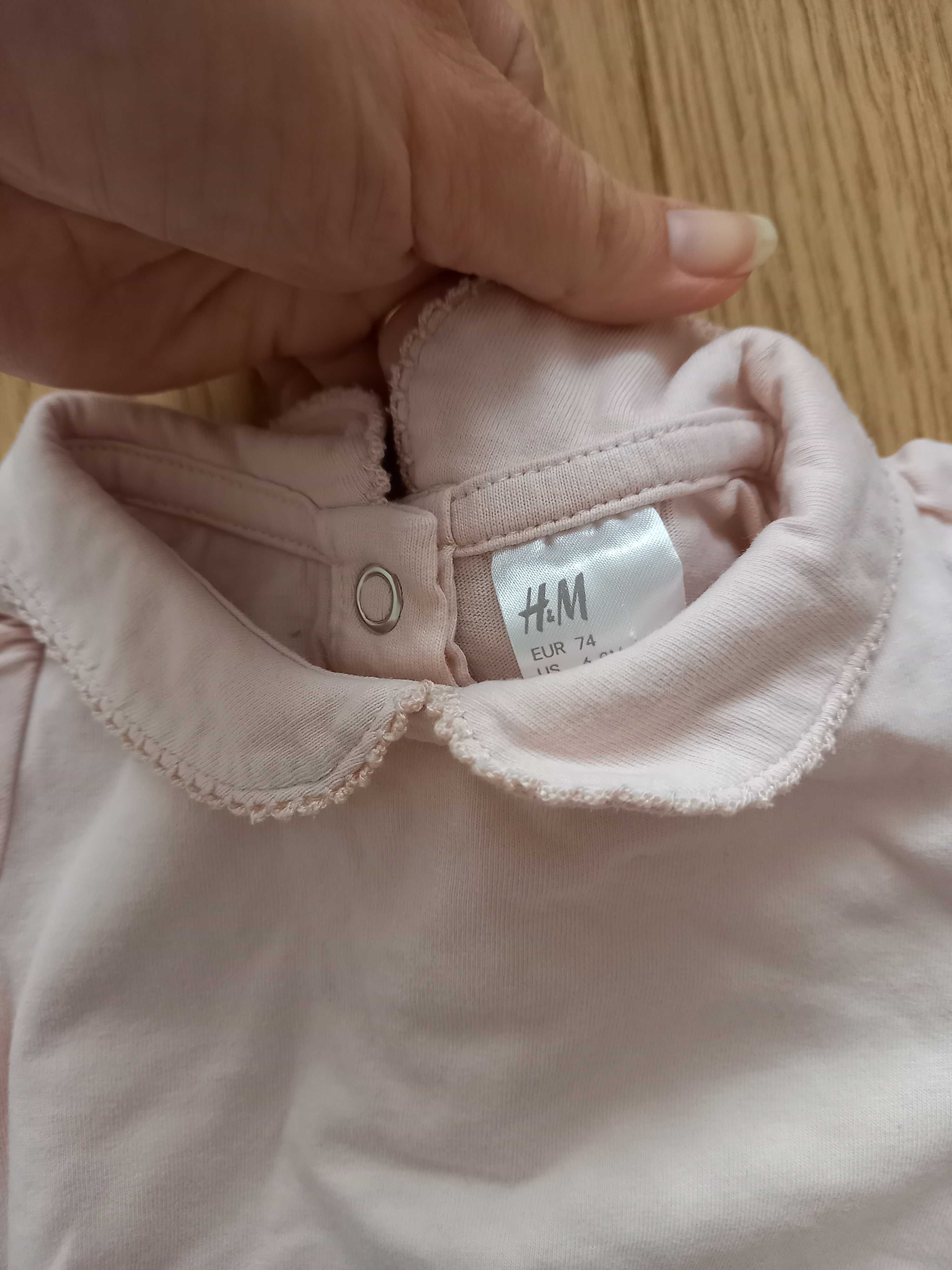 Komplet body h&m z kolnierzykiem krotkim rękawem 74 80