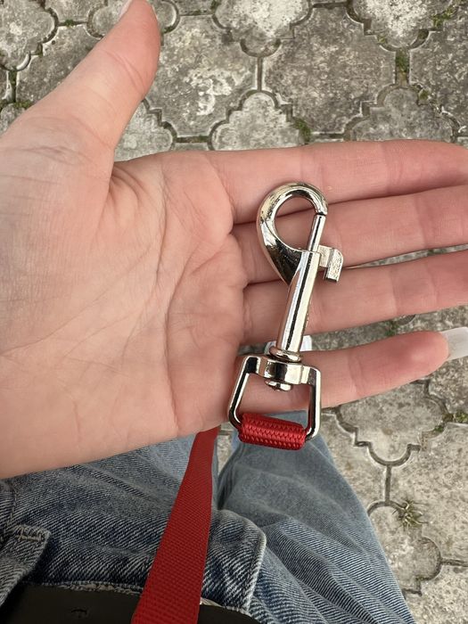 Повідець та шлейка