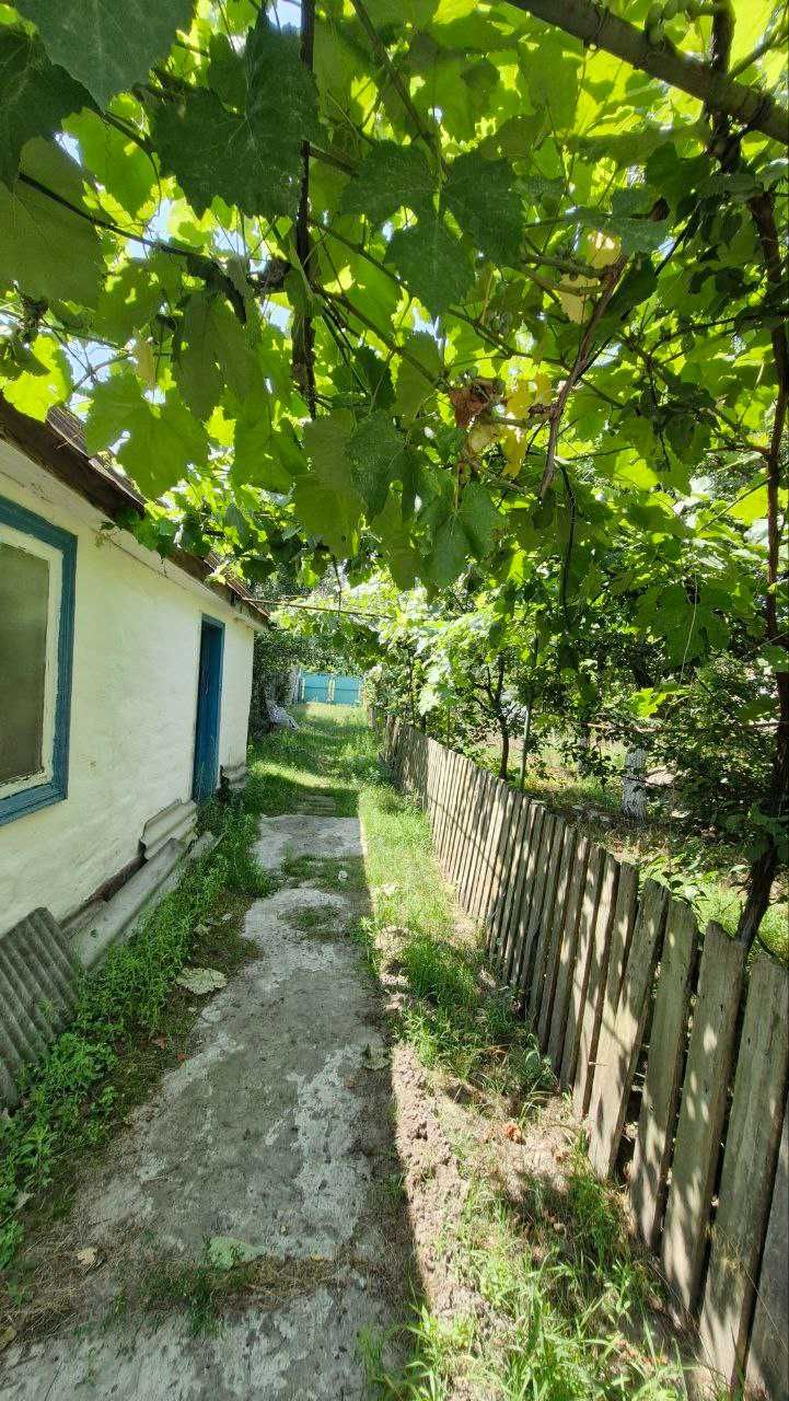 будинок в селі Сокирна
