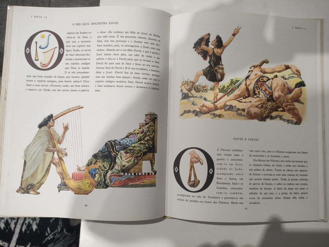 Livro Grande Bíblia Ilustrada
