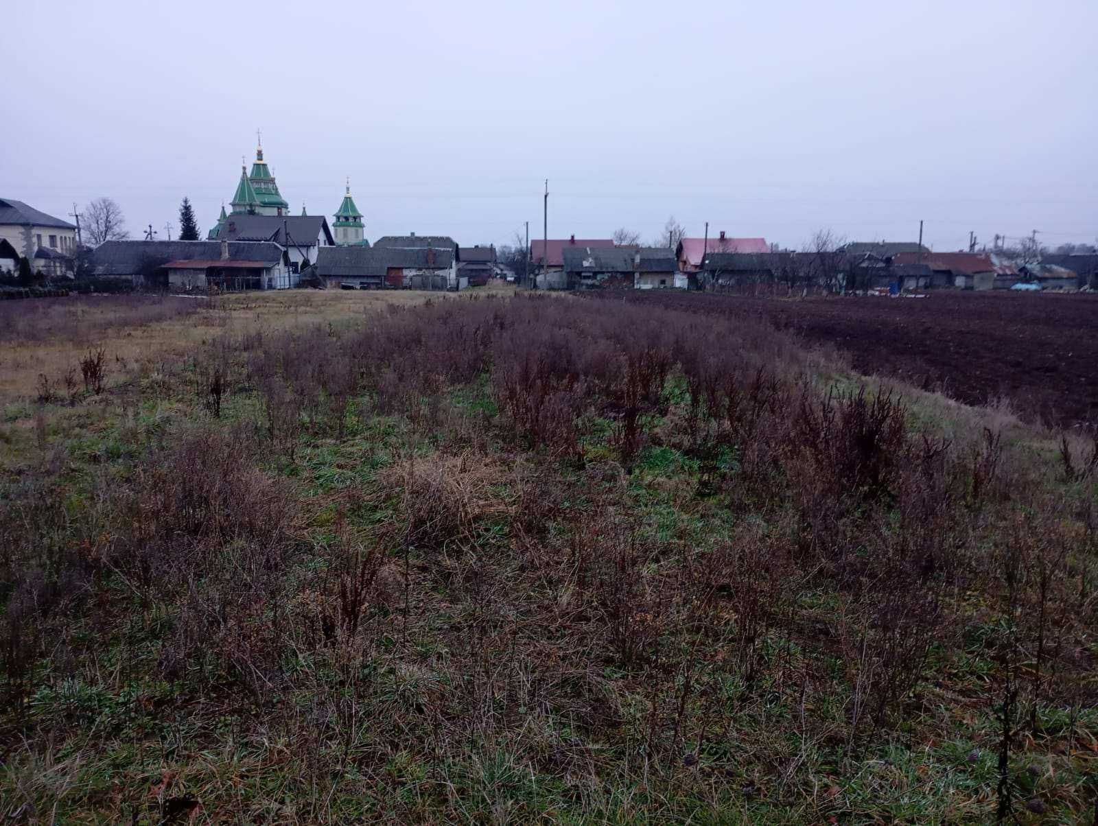 Продаж, земля в с. Радча центр. Можливий обмін на авто.
