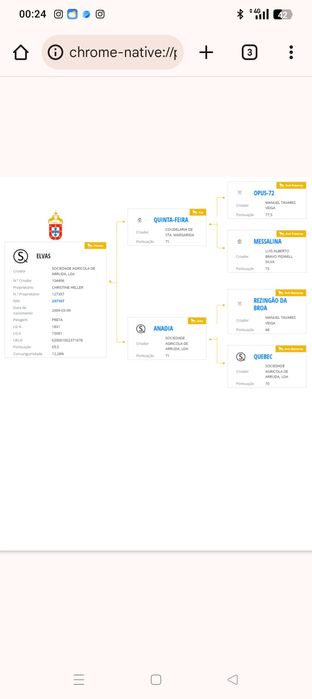 Égua lusitana pontuada e cheia
