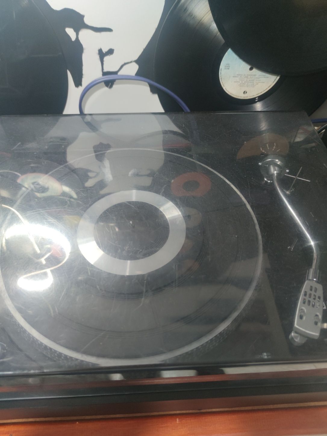 Gira DISCO - Elite PH-8000