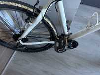 Bicicleta branca