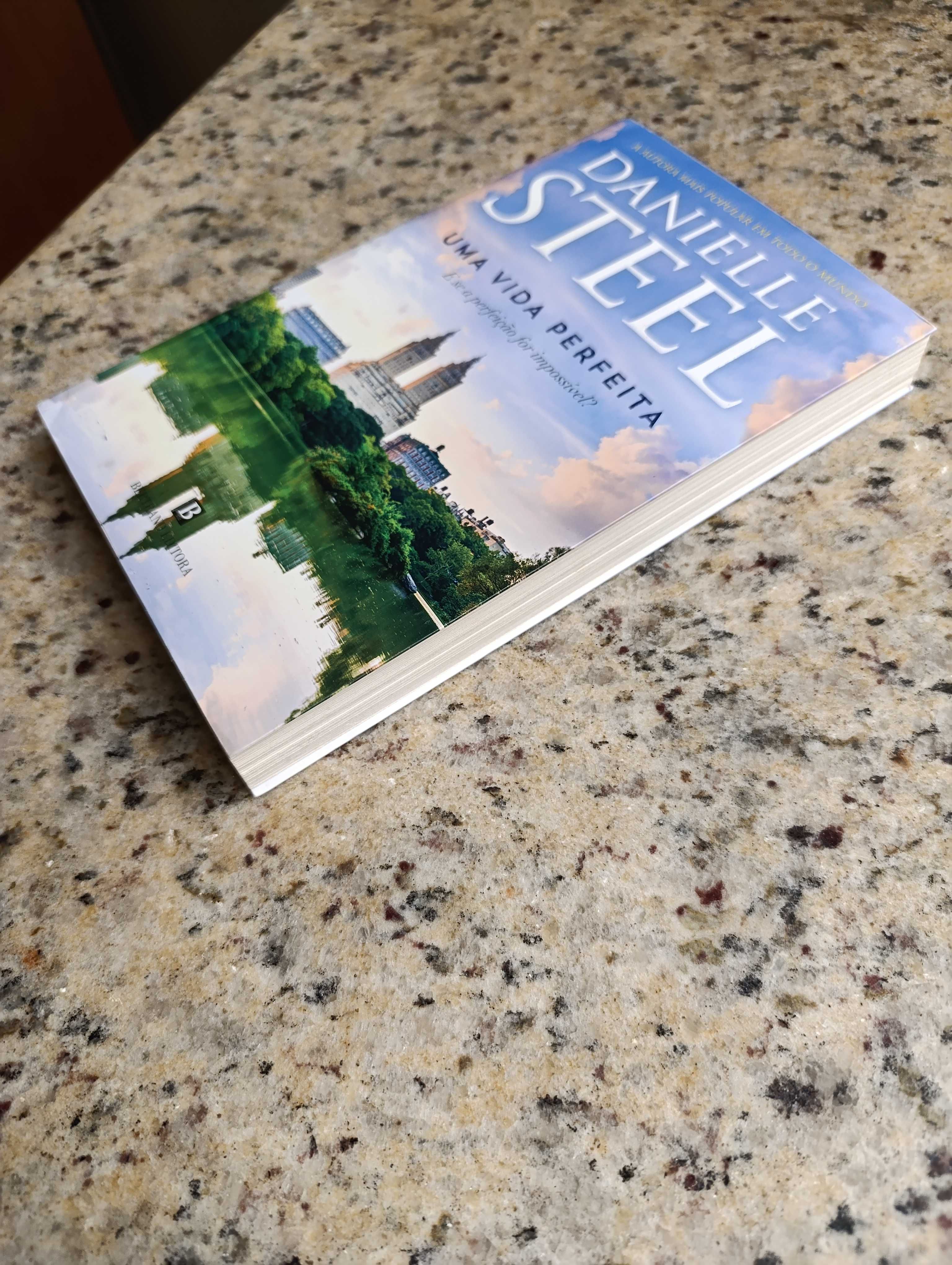 Uma vida perfeita - Danielle Steel
