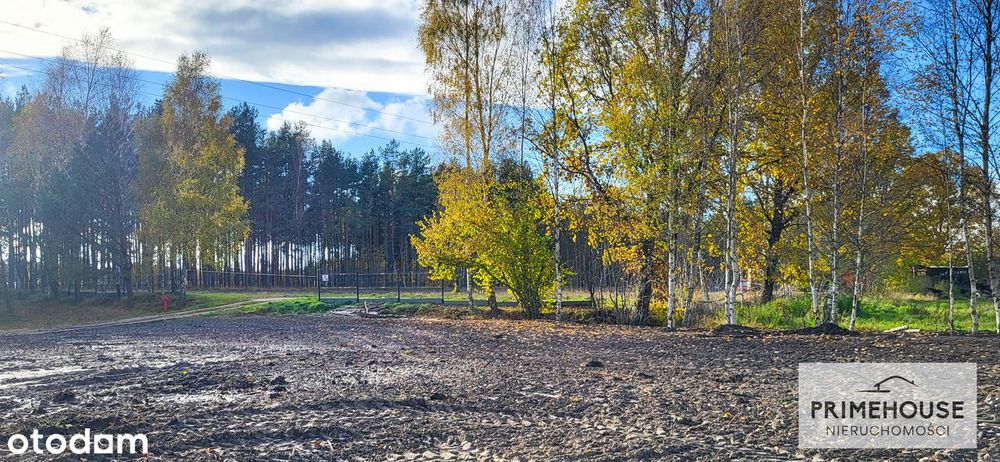 Działki pod lasem MPZP