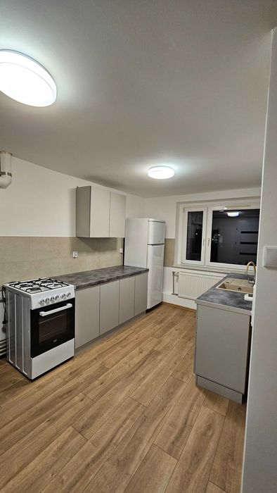 mieszkanie po remoncie do wynajęcia