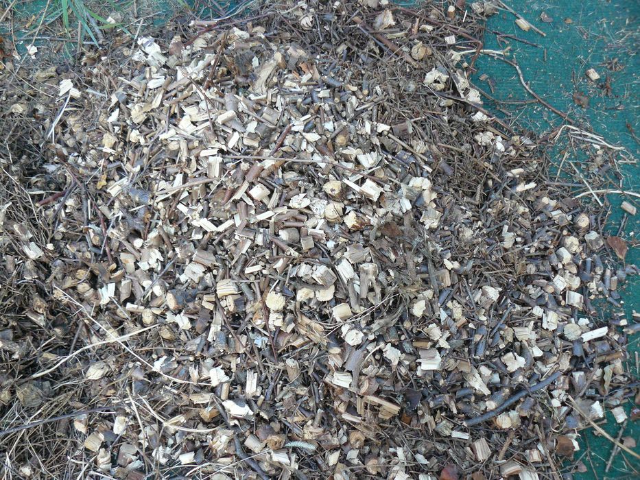 Rębak rozdrabniacz frez walec do gałęzi odpad ogród Einhell 2500