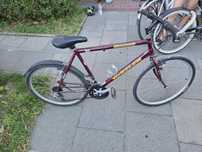 Rower meski bordowy