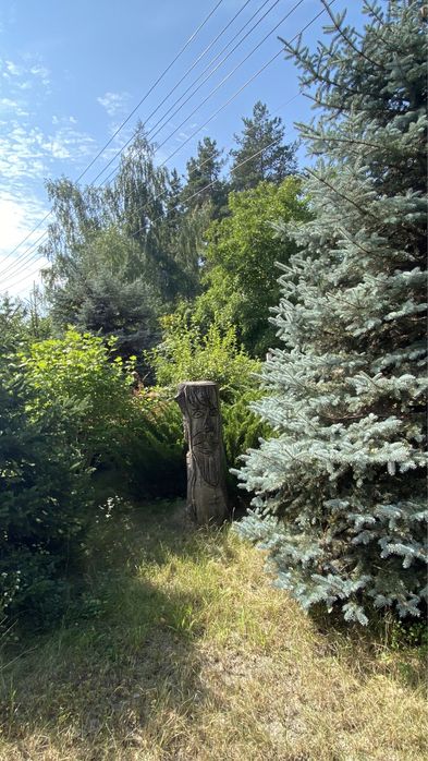 Оренда с. Нещерів, м. Обухів 4км.