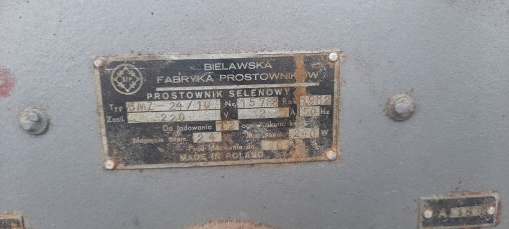 Prostownik polski
