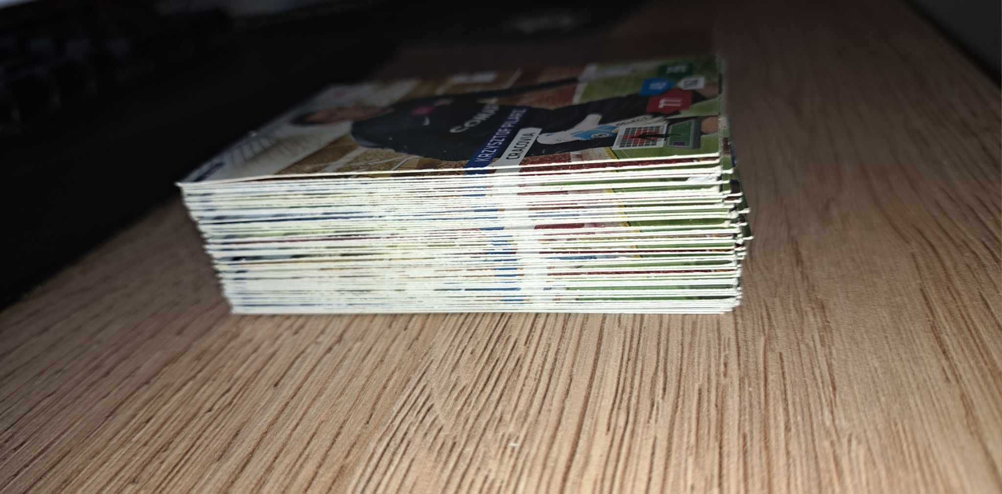 Panini T-Mobile Ekstraklasa 2013/14 - karty pilkarskie 62/313