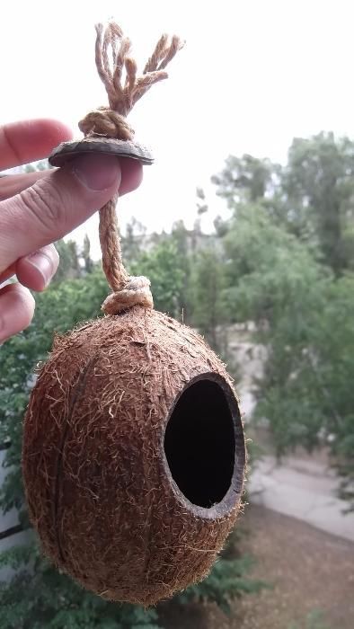 Домик кокос для попугая волнистый неразлучник дуплянка гнездо амадин
