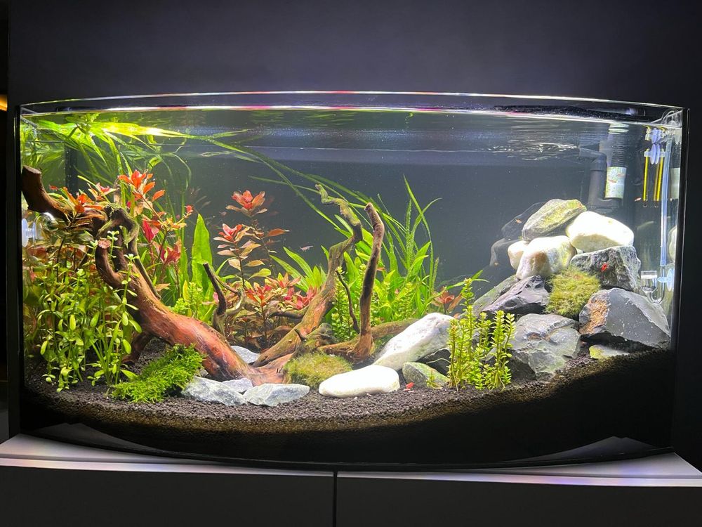 Zestaw Akwarium112l SZAFKA Filtr Fluval207 LAMPA Grzałka Akcesoria