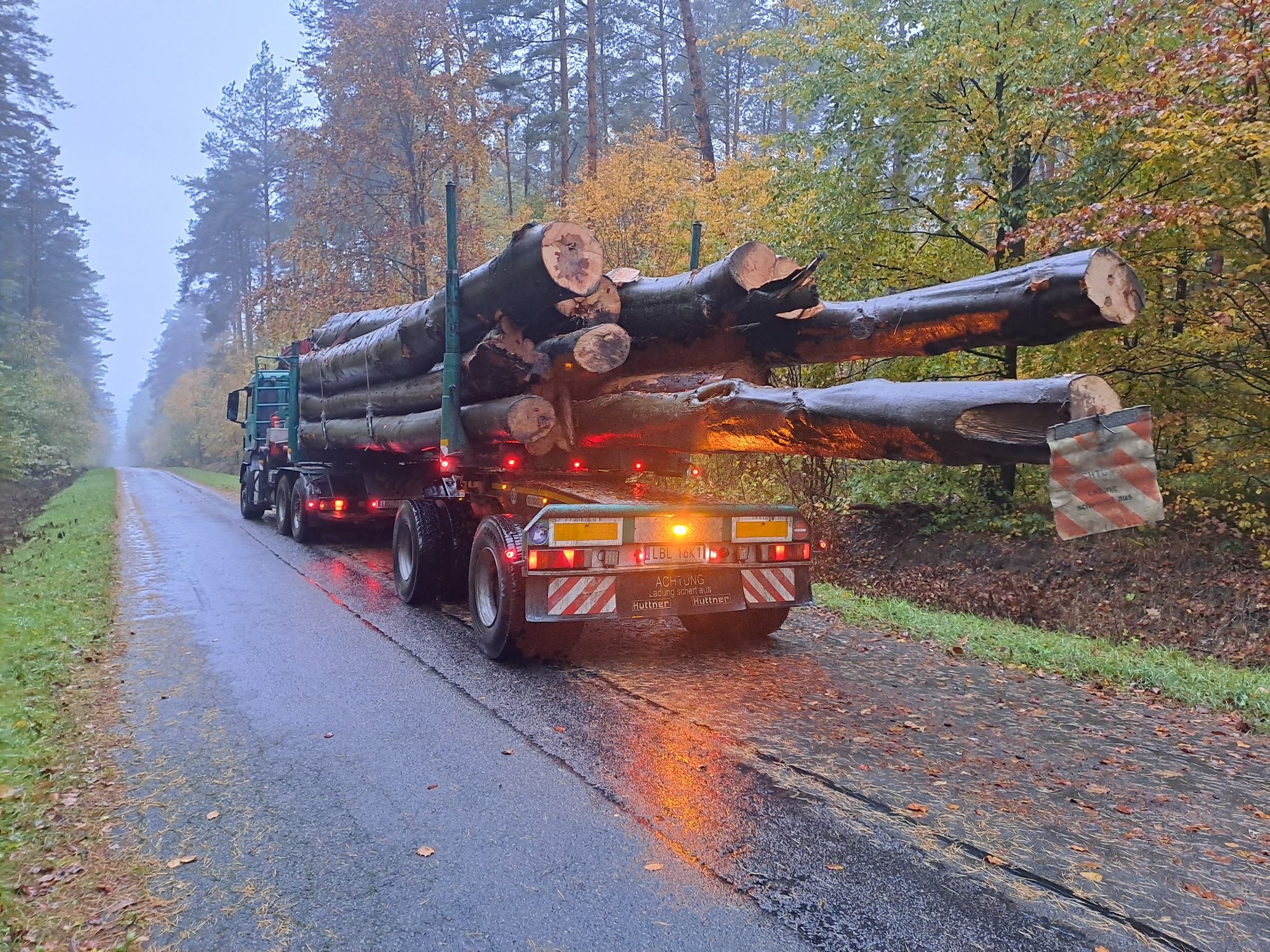 Usługi HDS,transportowe ,transport drewna ,dłużycy ,kłodyHDS