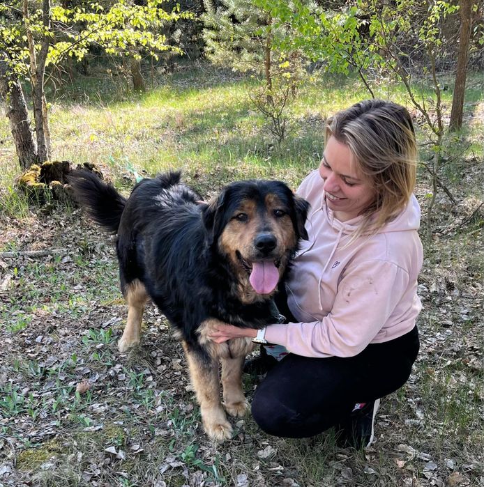 Klusia wyrzucona w lesie po latach stróżowania - adoptuj, uratuj