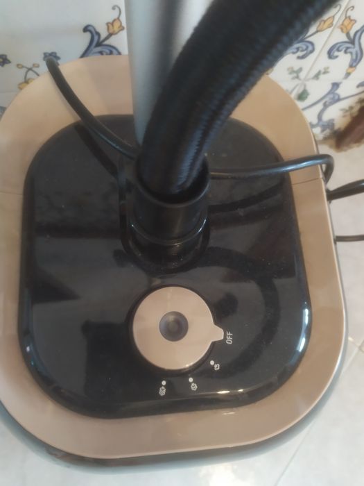 Escova de vapor vertical da marca Rowenta