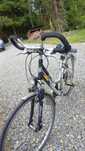 Rower KTM Alu damka