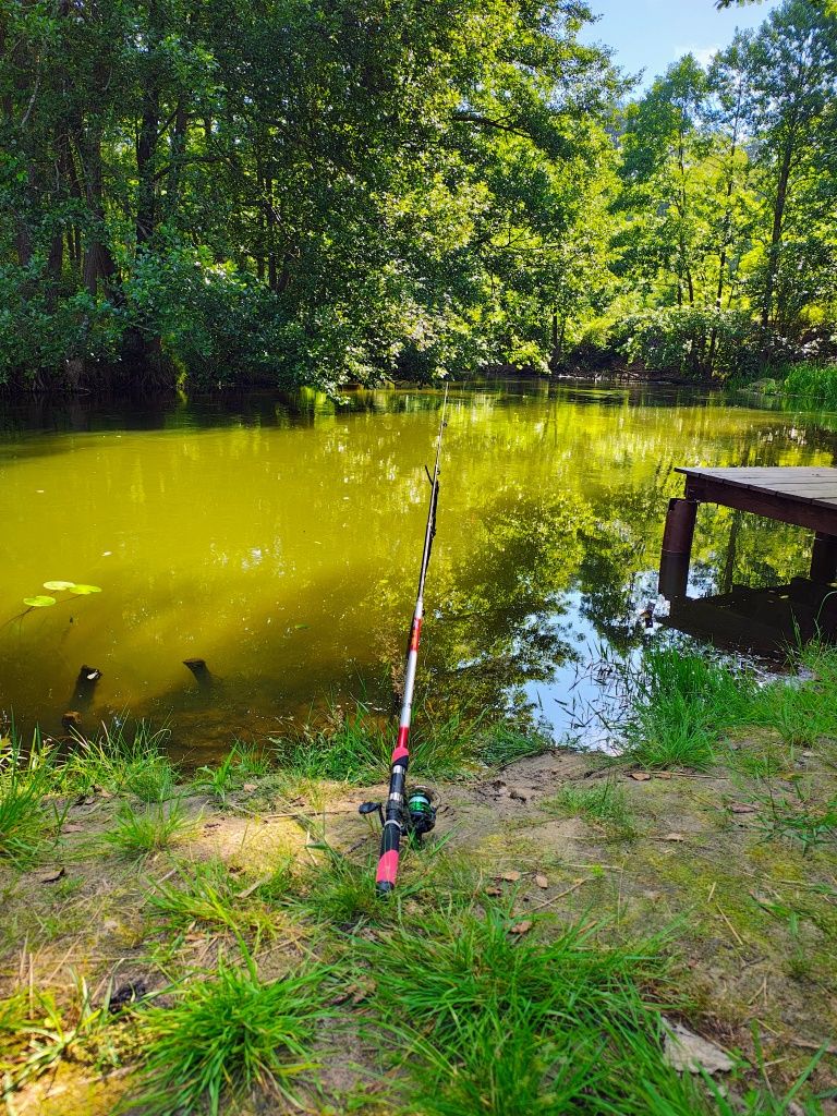 Pokoje na Kaszubach nad rzeką Zbrzyca Swornegacie
