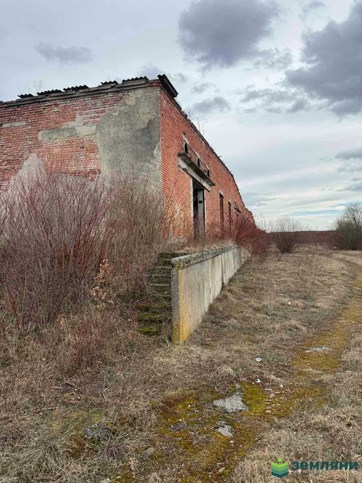 Продається виробничо-складське приміщення в с.Братківці (6)