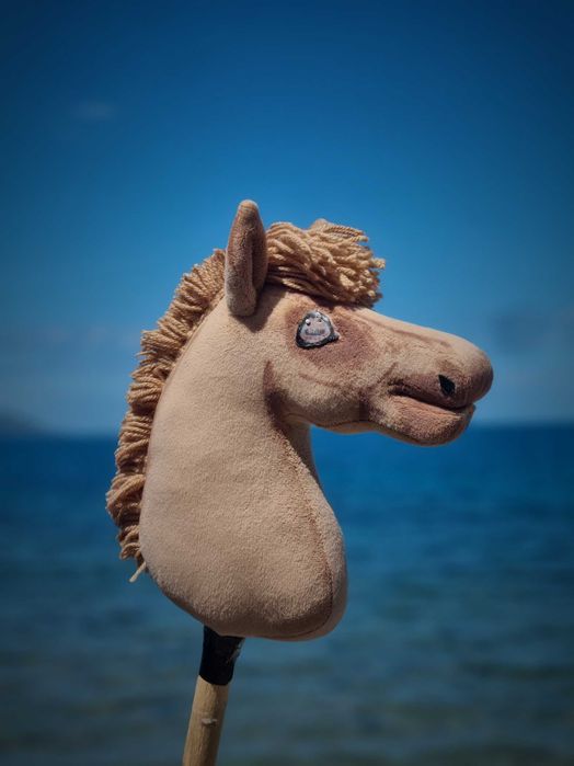 Hobby horse a4/a5