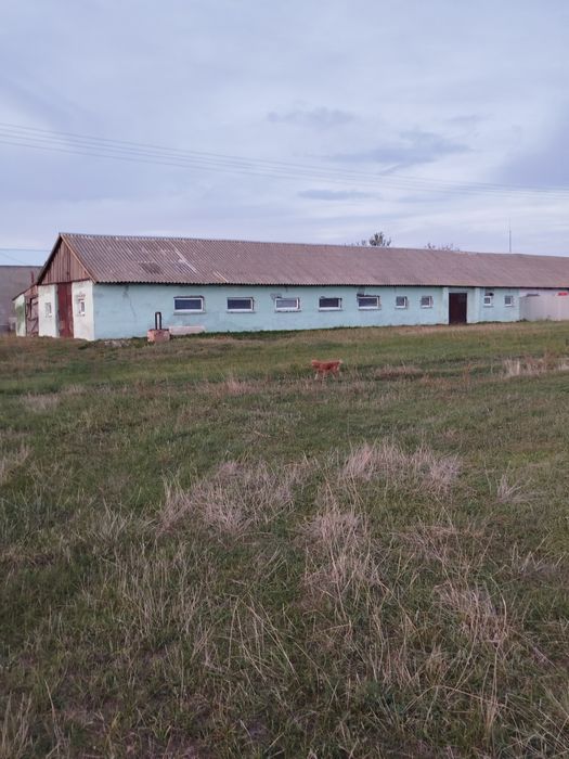 Продам ферму, в гарному стані, з документами