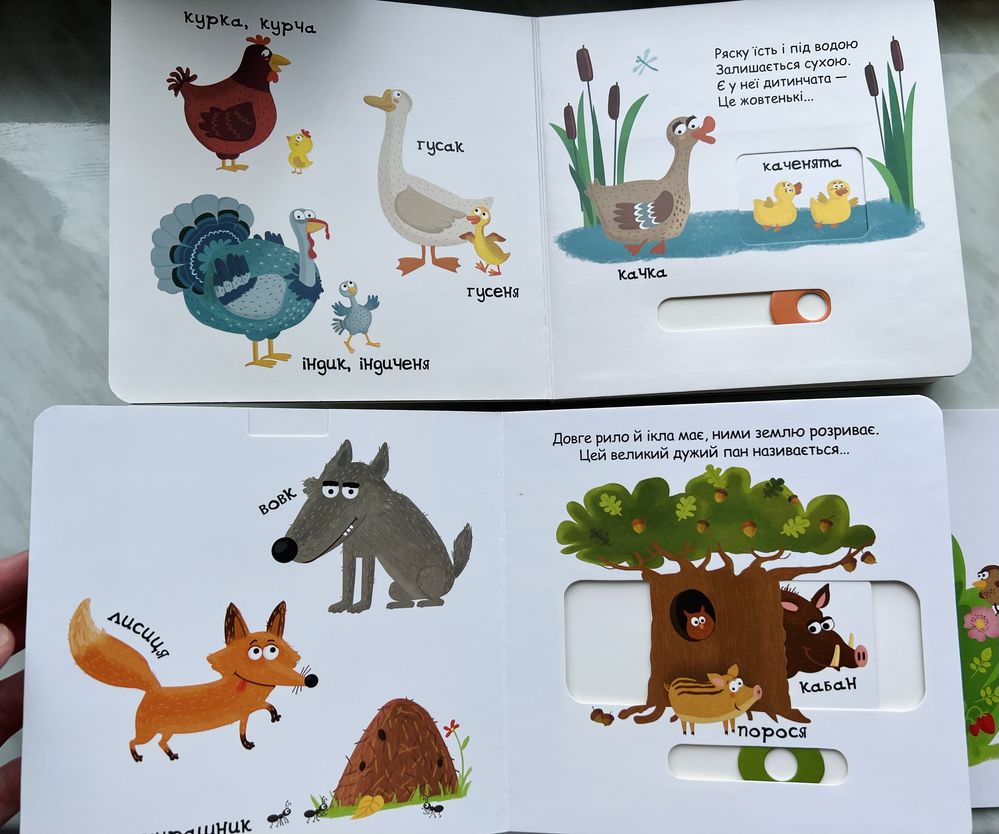 Дитячі книги.Тварини в Лісі та на фермі.Автор:Федієнко