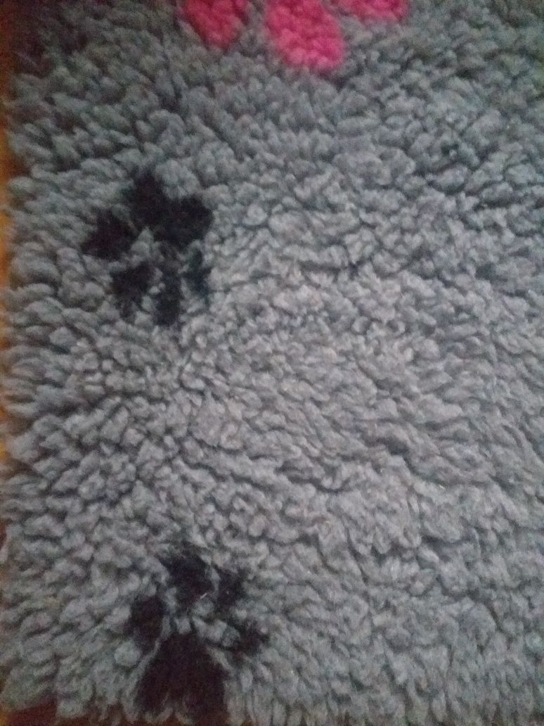 Mata dywanik dla zwierząt