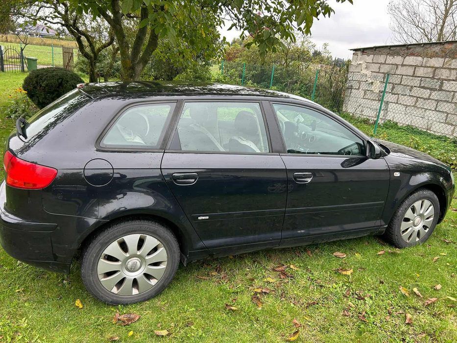 Audi A3 P8 1.9 TDI 5 drzwi