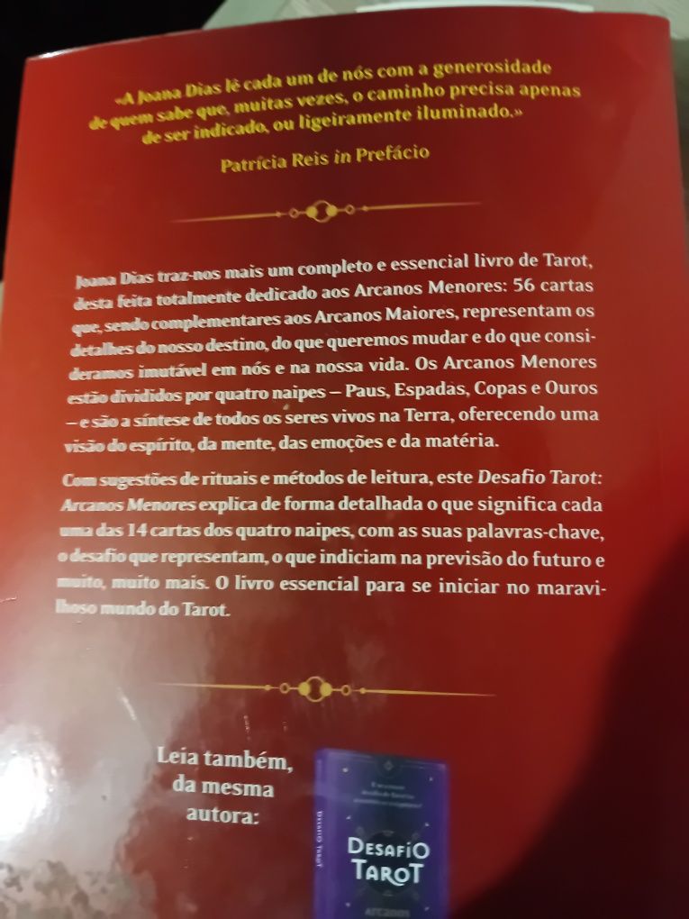 Desafio tarot arcanos menores joana dias