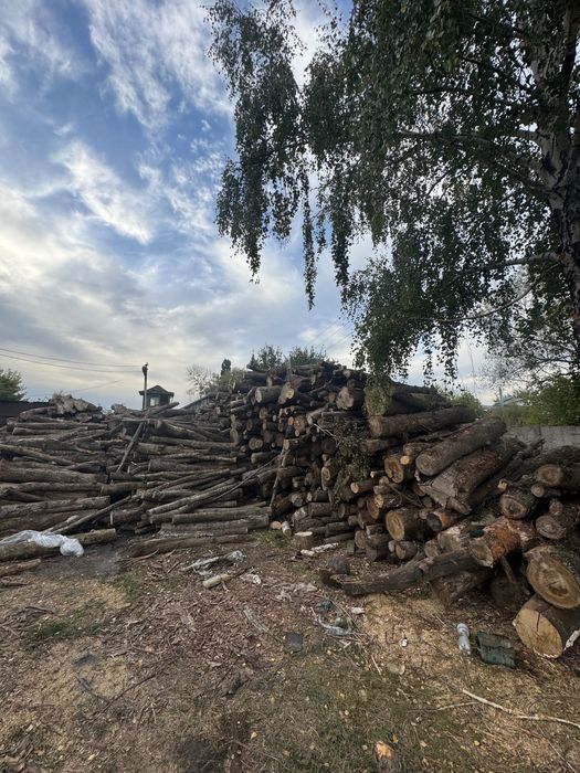 Дрова Дуб, Граб, Акація, Ясень, Вільха, Береза, Сосна