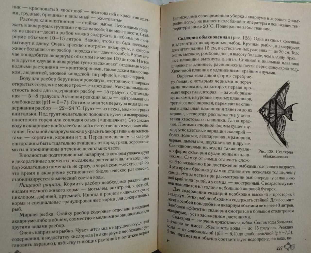 Аквариум. Заселение и содержание домашнего аквариума