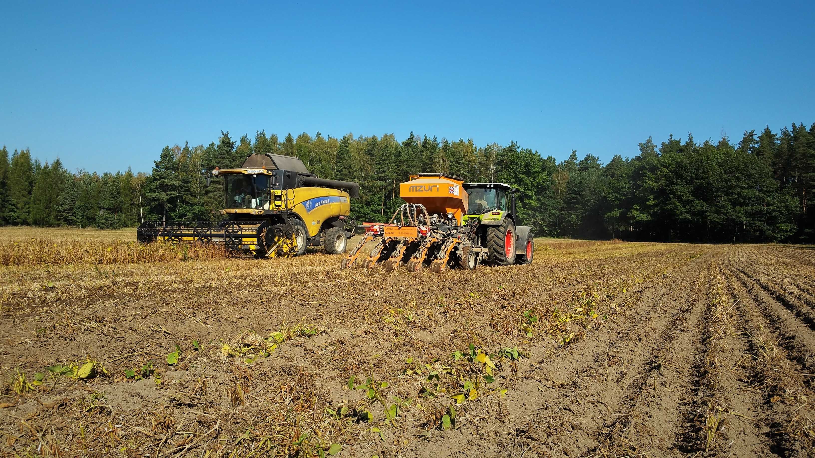 Siew bez orki MZURI -  GPS - rzepak, zboża  - Strip-till -EKOSCHEMAT
