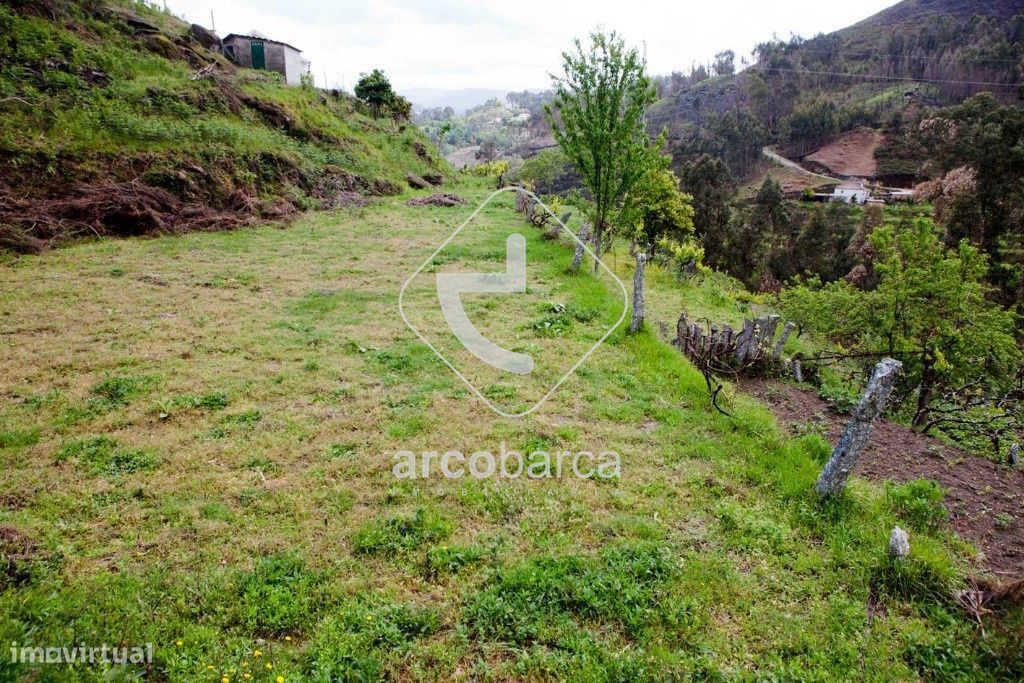 Quintinha em Prozelo, Arcos de Valdevez Projecto aprovado, 65.000€.