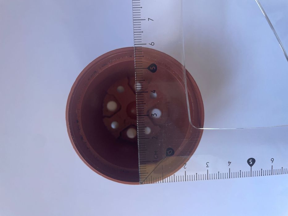 70 Vasos de plástico 6cm diâmetro